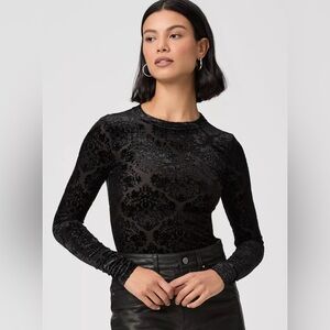 PAIGE Chelle Lace Black Velvet Burnout Top - small